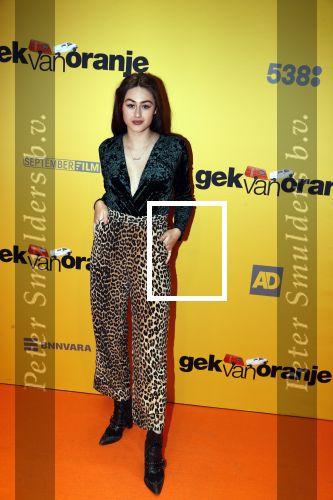 Amsterdam 12 februari 2018
Premiere Gek van Oranje in Tuschinski.