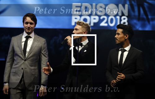 Amsterdam 12 februari 2018
Uitreiking Edison muziekprijzen in de westergasfabriek.