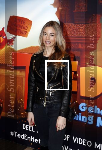 Amsterdam 11 februari 2018
Premiere Ted en het geheim van koning Midas in Pathe arena. Christie Bokma met zoon