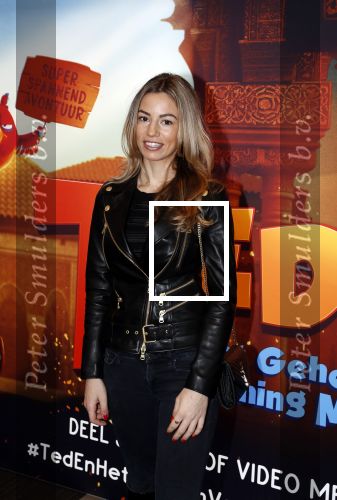 Amsterdam 11 februari 2018
Premiere Ted en het geheim van koning Midas in Pathe arena. Christie Bokma met zoon