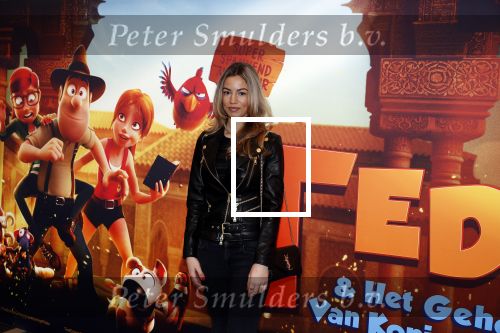 Amsterdam 11 februari 2018
Premiere Ted en het geheim van koning Midas in Pathe arena. Christie Bokma met zoon