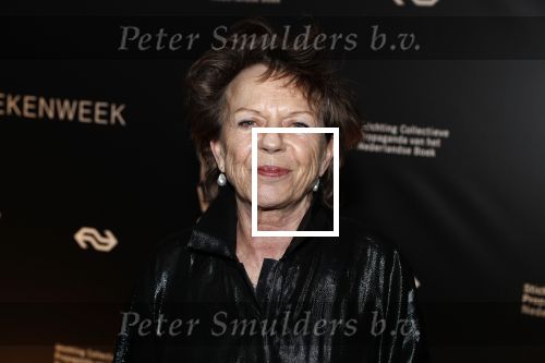 Amsterdam 9 maart 2018 
Boekenbal 2018 in de schouwburg van Amsterdam. Connie Palmen