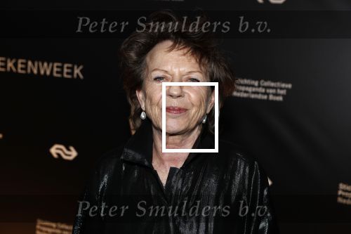 Amsterdam 9 maart 2018 
Boekenbal 2018 in de schouwburg van Amsterdam. Connie Palmen
