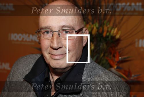 Amsterdam 20 februari 2018
Uitreiking 100% NL awards in club Panama. daniel Dekker