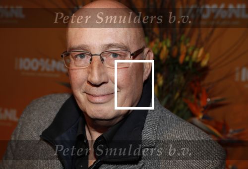Amsterdam 20 februari 2018
Uitreiking 100% NL awards in club Panama. daniel Dekker