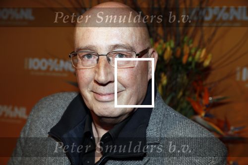 Amsterdam 20 februari 2018
Uitreiking 100% NL awards in club Panama. daniel Dekker