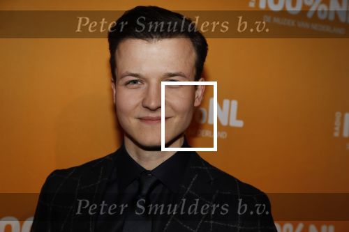 Amsterdam 20 februari 2018
Uitreiking 100% NL awards in club Panama. Daniel Kist