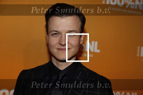 Amsterdam 20 februari 2018
Uitreiking 100% NL awards in club Panama. Daniel Kist