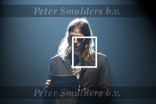 Amsterdam 12 februari 2018
Uitreiking Edison muziekprijzen in de westergasfabriek.