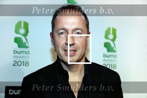 Amsterdam 5 maart 2018 
Buma prijzen in theater Amsterdam. Edwin Evers Frank danen en Frits Spits
