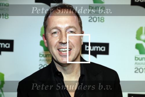 Amsterdam 5 maart 2018 
Buma prijzen in theater Amsterdam. Edwin Evers Frank danen en Frits Spits