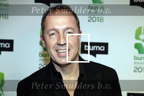 Amsterdam 5 maart 2018 
Buma prijzen in theater Amsterdam. Edwin Evers Frank danen en Frits Spits