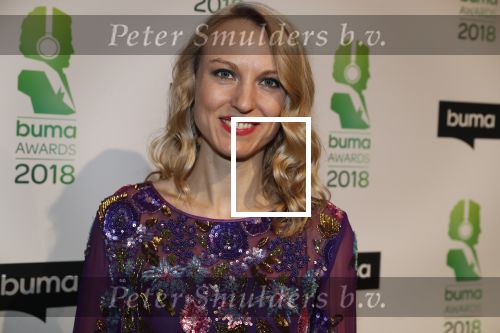 Amsterdam 5 maart 2018 
Buma prijzen in theater Amsterdam. Elisah Braaksma met man