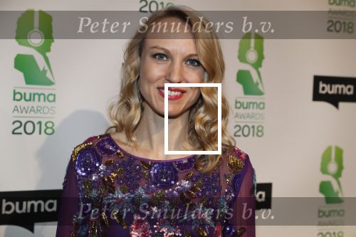 Amsterdam 5 maart 2018 
Buma prijzen in theater Amsterdam. Elisah Braaksma met man