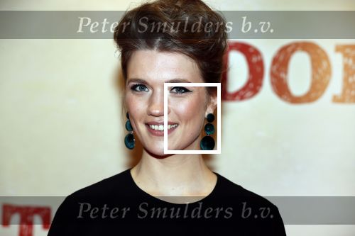 Amsterdam 12 maart 2018
Premiere Dorst in het delamar theater. Elise van t Laar