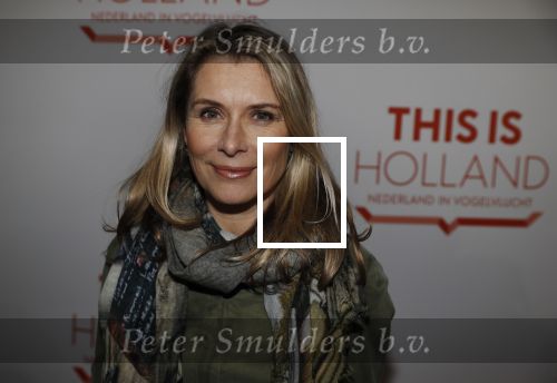 Amsterdam 1 februari 2018 
Opening This is Holland. Elle v Rijn