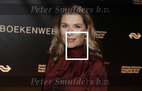 Amsterdam 9 maart 2018 
Boekenbal 2018 in de schouwburg van Amsterdam. Elle v Rijn met een kennis