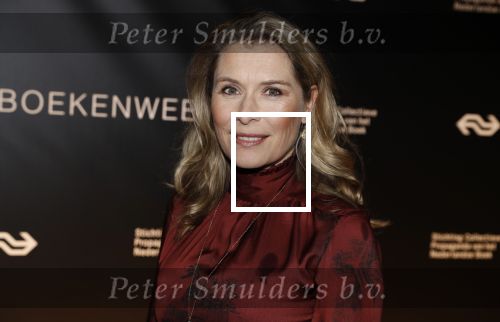 Amsterdam 9 maart 2018 
Boekenbal 2018 in de schouwburg van Amsterdam. Elle v Rijn met een kennis