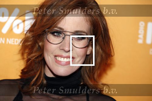 Amsterdam 20 februari 2018
Uitreiking 100% NL awards in club Panama. Elske DeWall en Krystl en ...