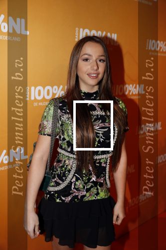 Amsterdam 20 februari 2018
Uitreiking 100% NL awards in club Panama. Emma Heesters