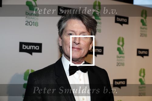 Amsterdam 5 maart 2018 
Buma prijzen in theater Amsterdam. Erik de Zwart