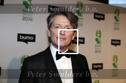Amsterdam 5 maart 2018 
Buma prijzen in theater Amsterdam. Erik de Zwart