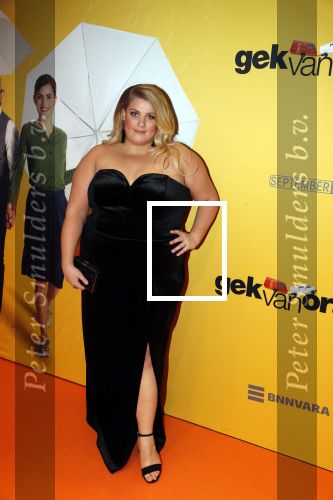 Amsterdam 12 februari 2018
Premiere Gek van Oranje in Tuschinski.
Esmee v Kampen