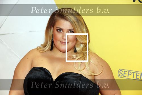 Amsterdam 12 februari 2018
Premiere Gek van Oranje in Tuschinski.
Esmee v Kampen
