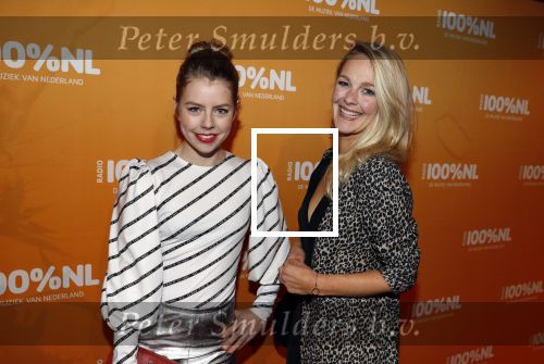 Amsterdam 20 februari 2018
Uitreiking 100% NL awards in club Panama. 
Estï¿½e Strooker    Estee Strooker