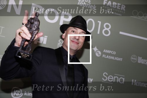 Amsterdam 12 februari 2018
Uitreiking Edison muziekprijzen in de westergasfabriek. Extince