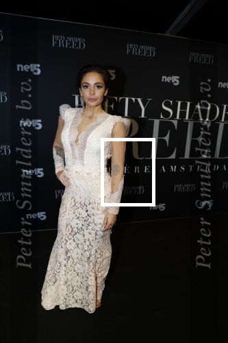 Amsterdam 6 februari 2018
Premiere 50 shades Freed in Tuschinski. fajah Lourens met Roland Kahn