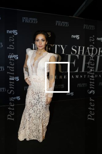 Amsterdam 6 februari 2018
Premiere 50 shades Freed in Tuschinski. fajah Lourens met Roland Kahn