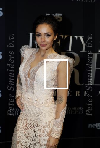 Amsterdam 6 februari 2018
Premiere 50 shades Freed in Tuschinski. fajah Lourens met Roland Kahn