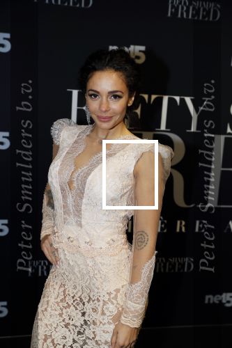 Amsterdam 6 februari 2018
Premiere 50 shades Freed in Tuschinski. fajah Lourens met Roland Kahn