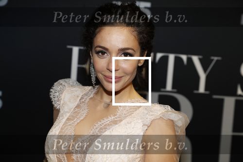 Amsterdam 6 februari 2018
Premiere 50 shades Freed in Tuschinski. fajah Lourens met Roland Kahn