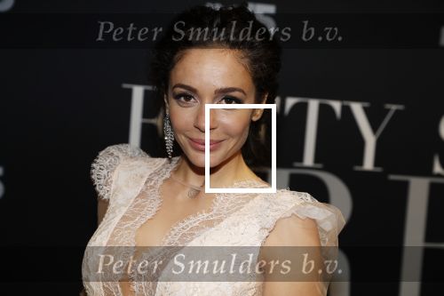Amsterdam 6 februari 2018
Premiere 50 shades Freed in Tuschinski. fajah Lourens met Roland Kahn