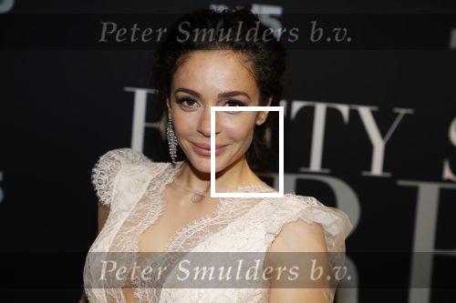 Amsterdam 6 februari 2018
Premiere 50 shades Freed in Tuschinski. fajah Lourens met Roland Kahn