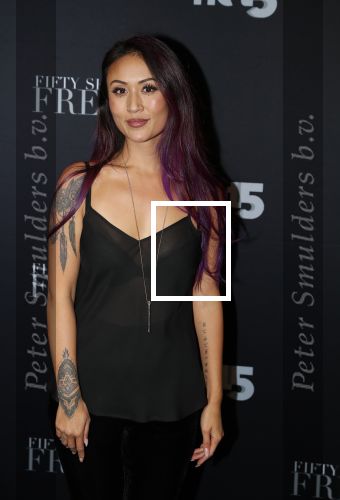 Amsterdam 6 februari 2018
Premiere 50 shades Freed in Tuschinski.