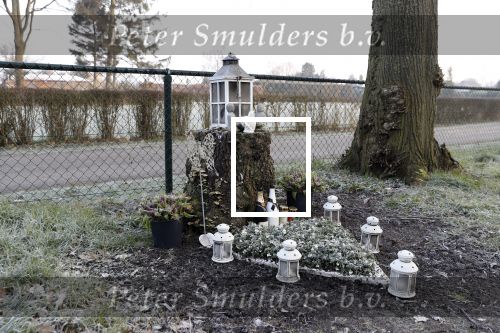 Loosdrecht 21 februari 2018
Gedenkteken voor Fleur Balkestein , het meisje van 19 die doodgereden werd na straatrace vader en zoon