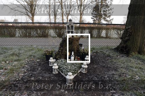 Loosdrecht 21 februari 2018
Gedenkteken voor Fleur Balkestein , het meisje van 19 die doodgereden werd na straatrace vader en zoon