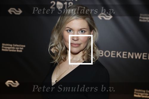 Amsterdam 9 maart 2018 
Boekenbal 2018 in de schouwburg van Amsterdam.
Franka Treur