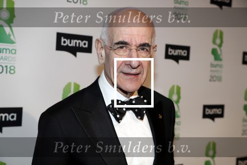 Amsterdam 5 maart 2018 
Buma prijzen in theater Amsterdam. Frits Spits