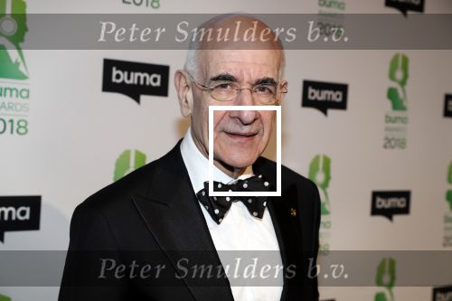 Amsterdam 5 maart 2018 
Buma prijzen in theater Amsterdam. Frits Spits