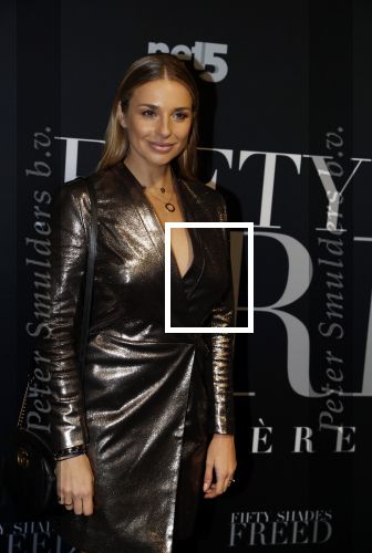 Amsterdam 6 februari 2018
Premiere 50 shades Freed in Tuschinski. Gaby Blaaser