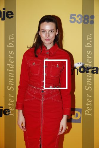 Amsterdam 12 februari 2018
Premiere Gek van Oranje in Tuschinski. Gaite Jansen