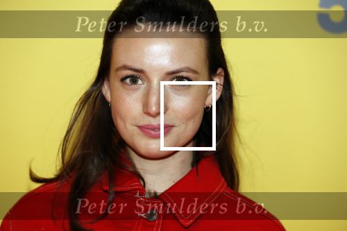 Amsterdam 12 februari 2018
Premiere Gek van Oranje in Tuschinski. Gaite Jansen