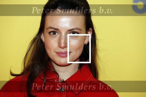 Amsterdam 12 februari 2018
Premiere Gek van Oranje in Tuschinski. Gaite Jansen