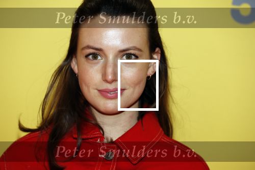 Amsterdam 12 februari 2018
Premiere Gek van Oranje in Tuschinski. Gaite Jansen