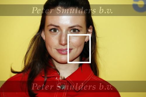 Amsterdam 12 februari 2018
Premiere Gek van Oranje in Tuschinski. Gaite Jansen
