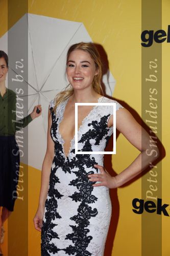 Amsterdam 12 februari 2018
Premiere Gek van Oranje in Tuschinski. jan Versteegh en Geraldine Kemper
